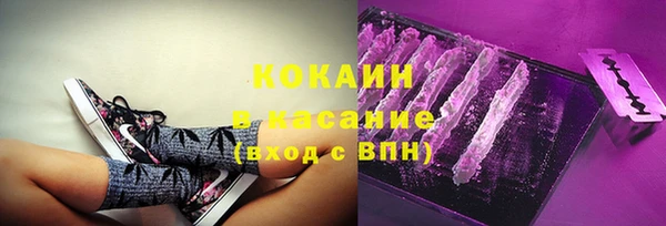 стафф Вяземский